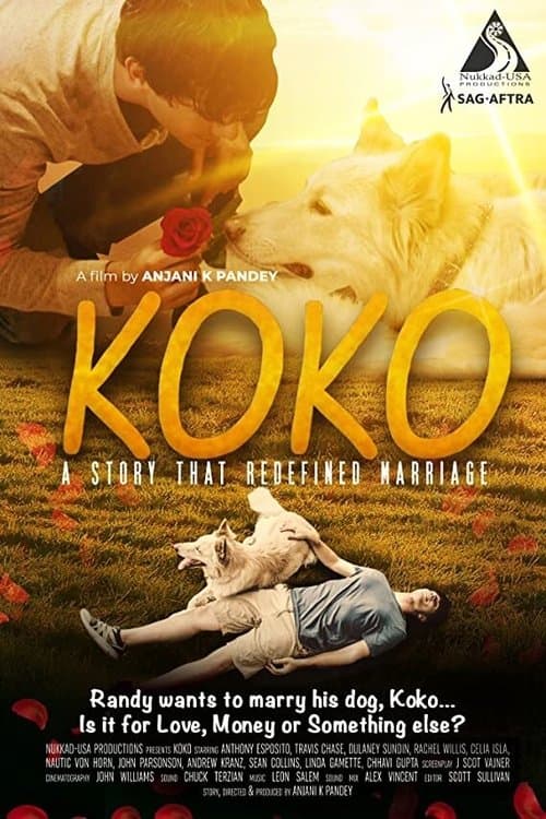 Koko afişi