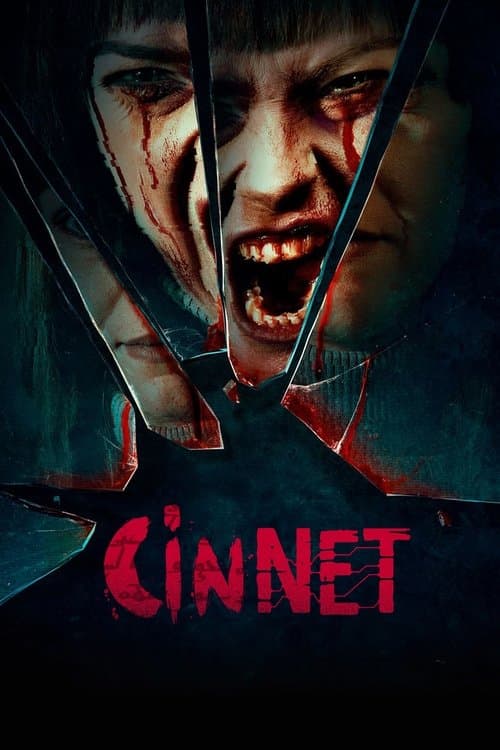 Cinnet afişi