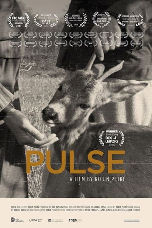 PULSE afişi