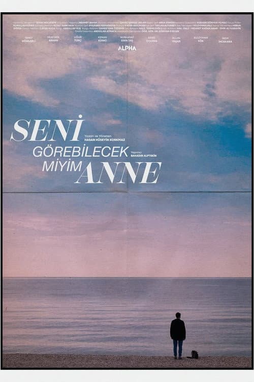 Seni Görebilecek Miyim Anne? afişi