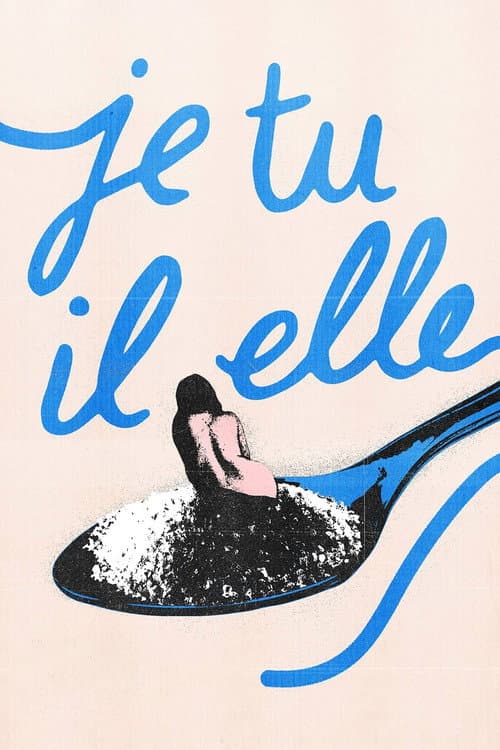 Je, tu, il, elle afişi