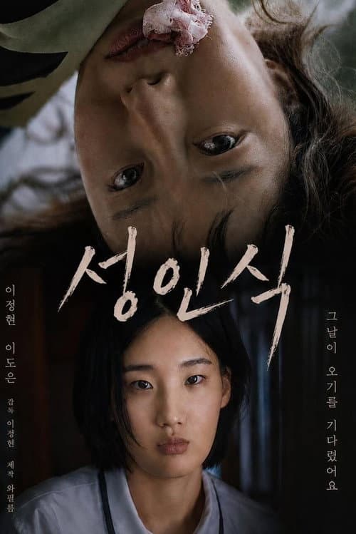 성인식 afişi