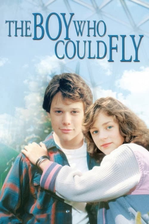 The Boy Who Could Fly afişi