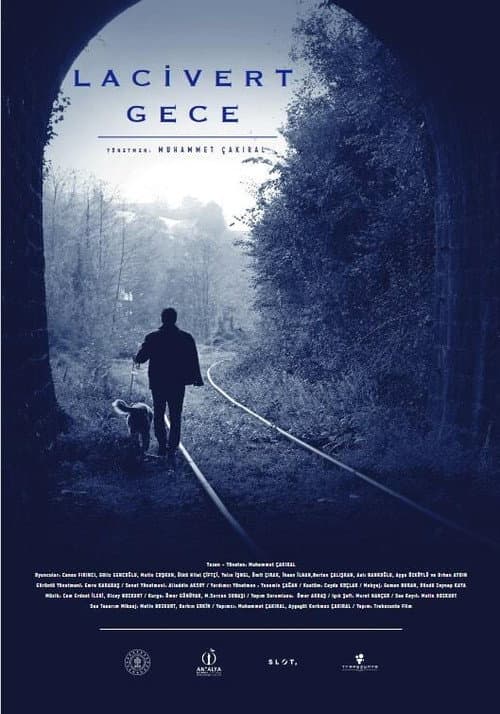 Lacivert Gece afişi
