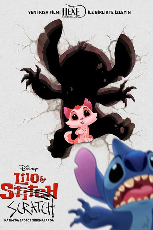 Lilo & Scratch afişi