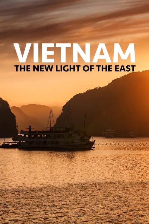 Vietnam the New Light of the East afişi
