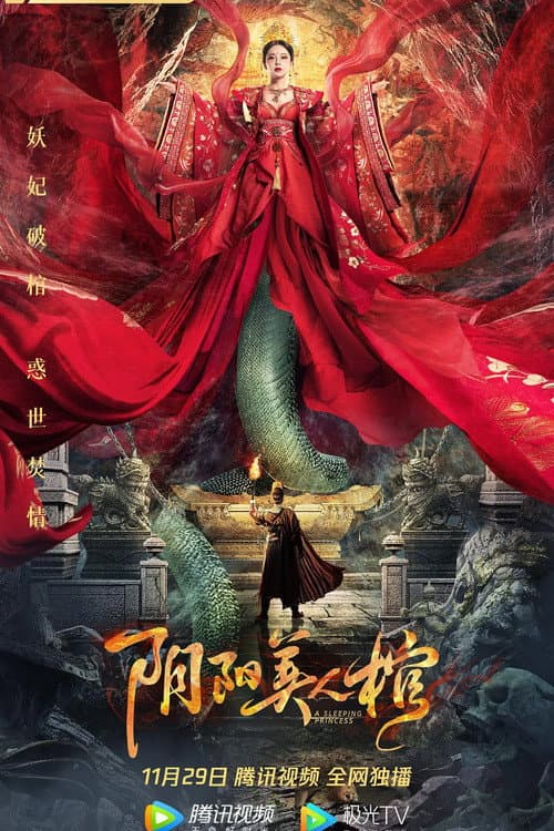 阴阳美人棺 afişi