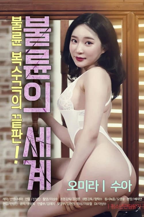 불륜의 세계 afişi