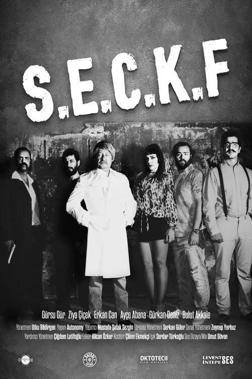 Son Erkan Can Kısa Filmi afişi