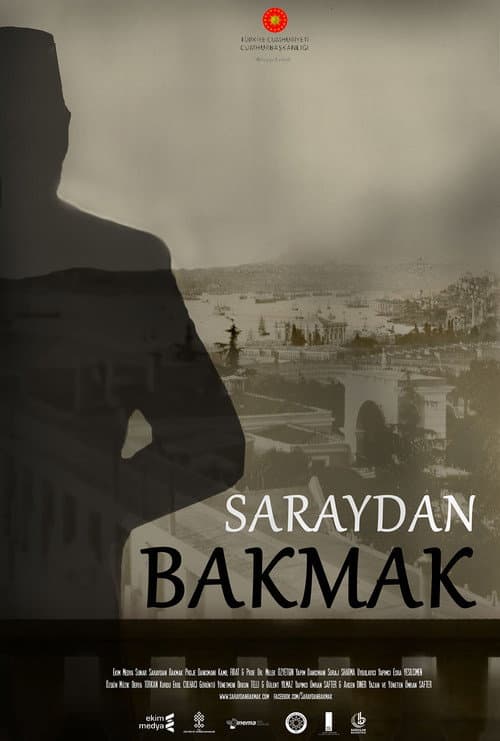 Saraydan Bakmak afişi