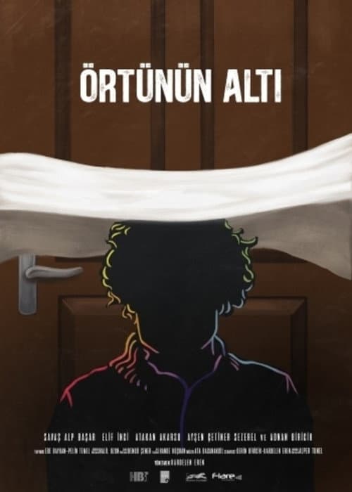 Örtünün Altı afişi