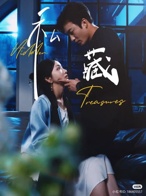 私藏 afişi
