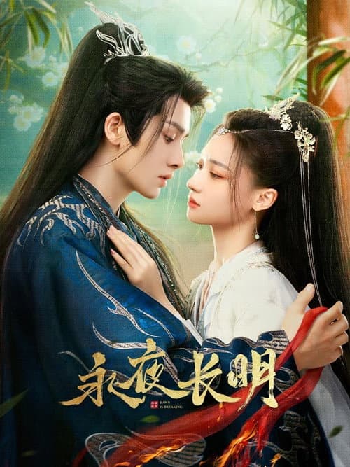 永夜长明 afişi