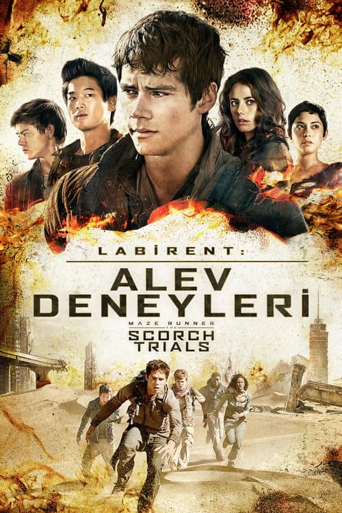 Labirent: Alev Deneyleri afişi