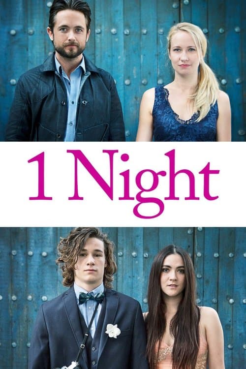 1 Night afişi