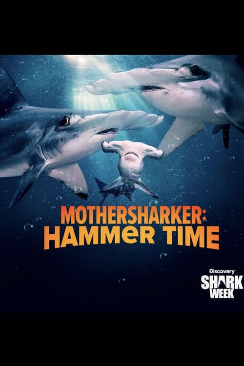 Mothersharker: Hammertime afişi