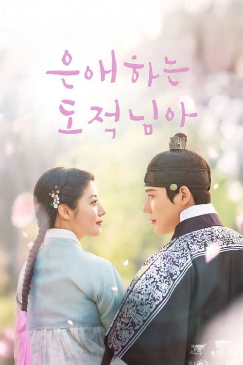 은애하는 도적님아 afişi