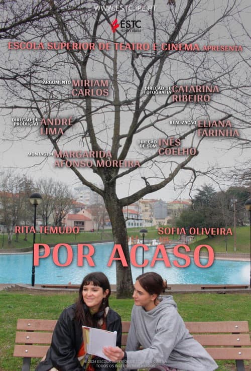 Por Acaso afişi