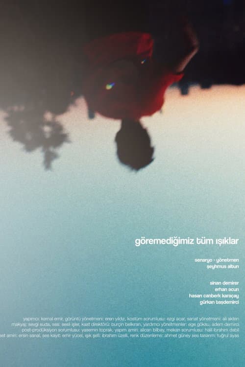 Göremediğimiz Tüm Işıklar afişi