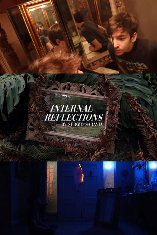 Internal Reflections afişi