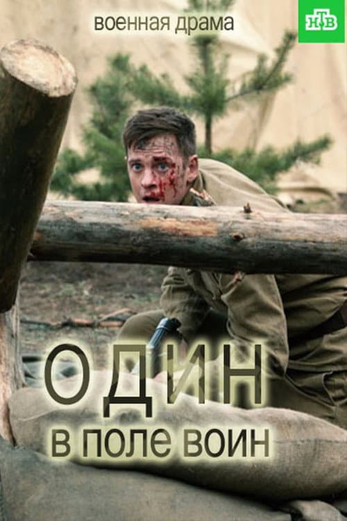 Один в поле воин afişi