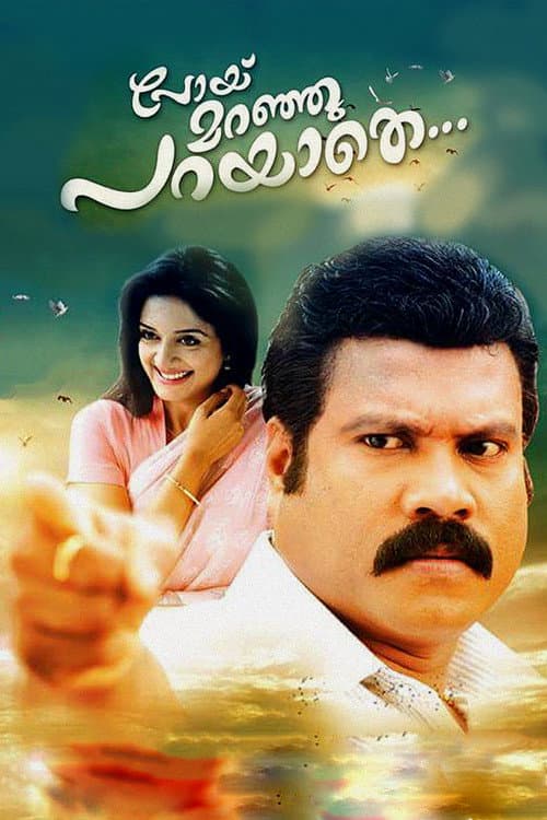 പോയ്‌ മറഞ്ഞു പറയാതെ... afişi