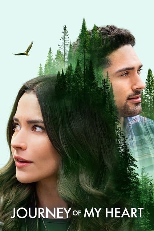 Journey of My Heart afişi