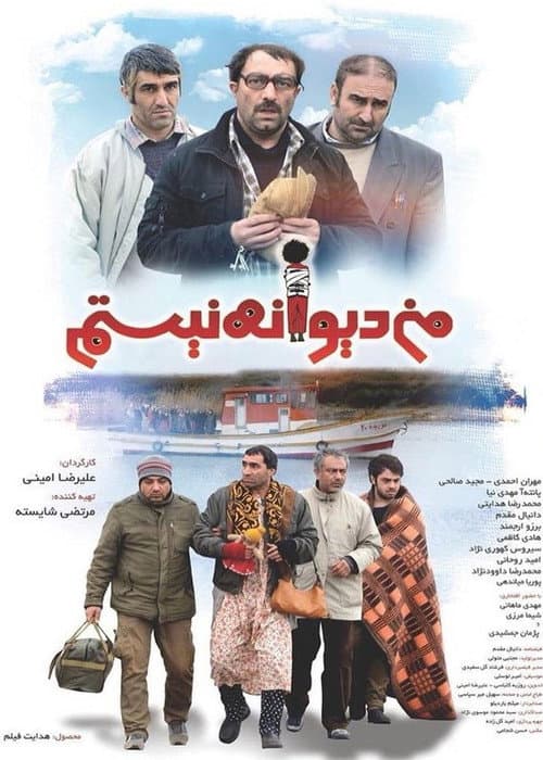 من دیوانه نیستم afişi