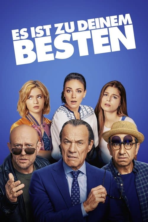 Es ist zu deinem Besten afişi