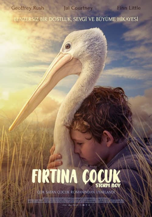 Fırtına Çocuk afişi