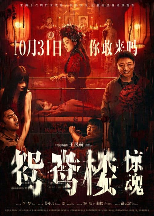 鸳鸯楼·惊魂 afişi