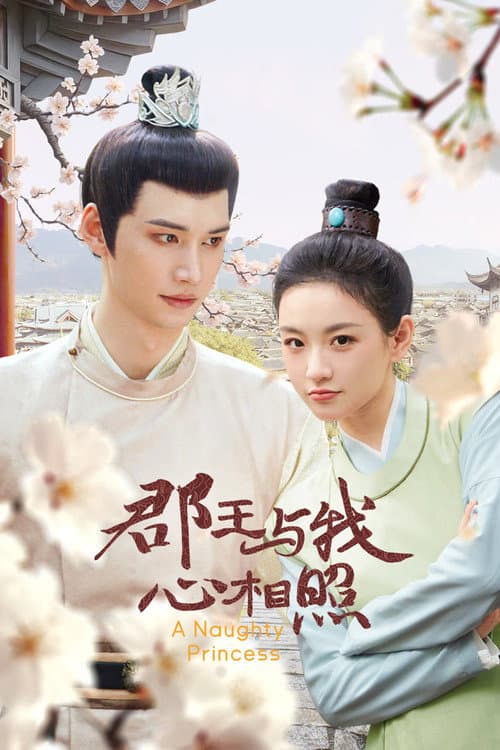 郡王与我心相照 afişi