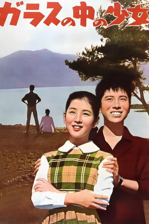 ガラスの中の少女 afişi