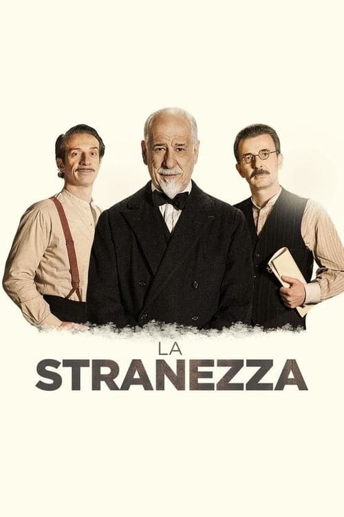 La stranezza afişi