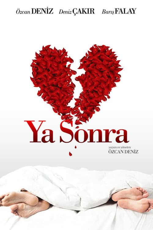 Ya Sonra? afişi