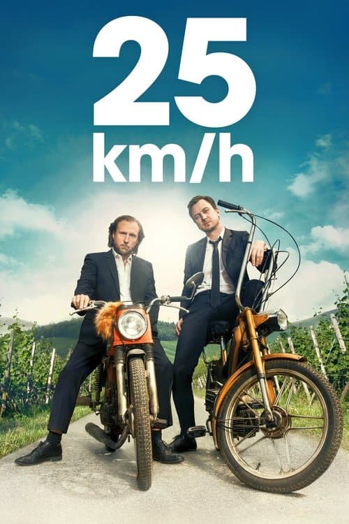 25 km/h afişi