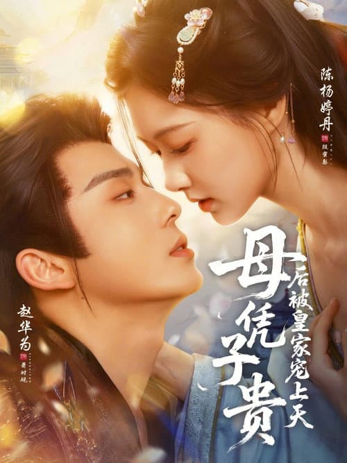 母凭子贵后被皇家宠上天 afişi