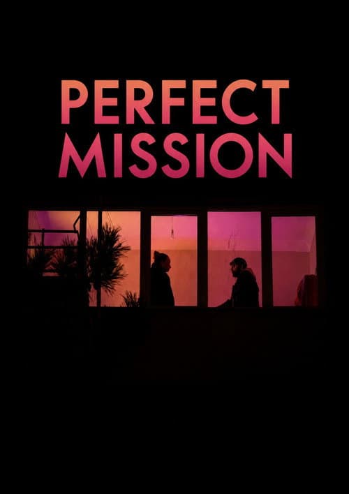 Perfect Mission afişi