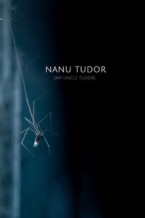 Nanu Tudor afişi
