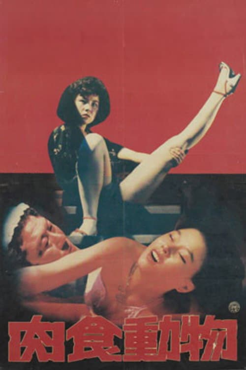 육식동물 afişi
