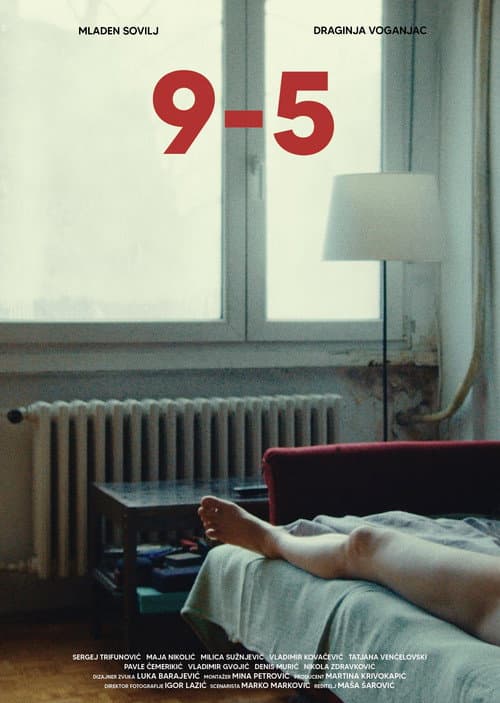 9-5 afişi