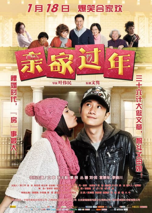亲家过年 afişi