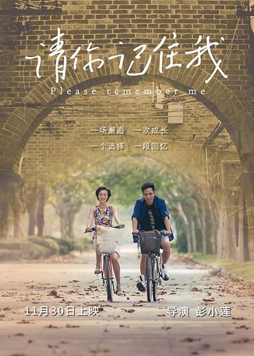 请你记住我 afişi