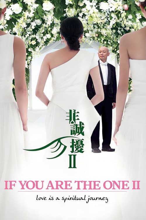 非诚勿扰2 afişi