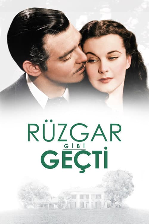 Rüzgâr Gibi Geçti afişi