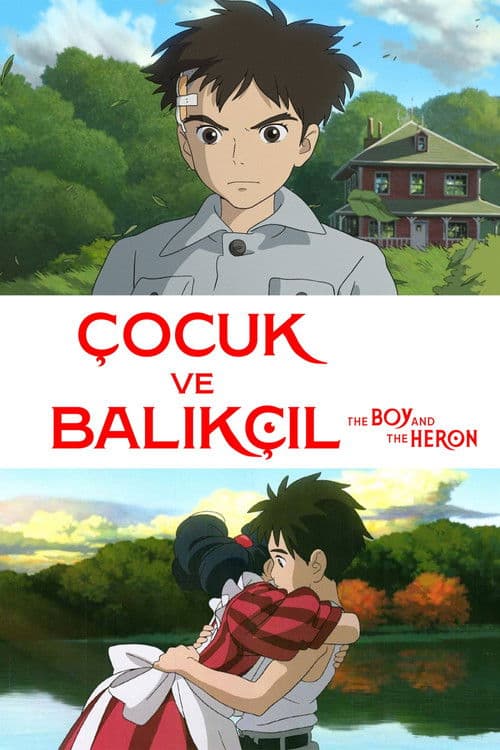 Çocuk ve Balıkçıl afişi