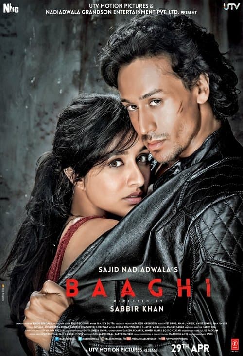 Baaghi afişi