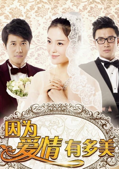 因为爱情有多美 afişi