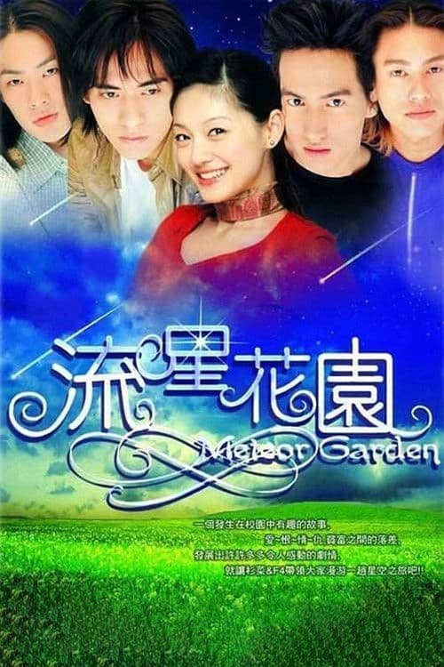 流星花園 afişi