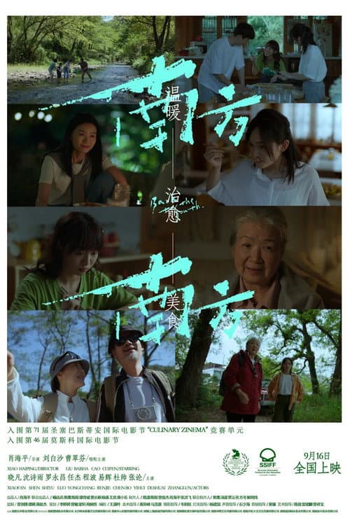 南方南方 afişi